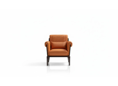 Fauteuil Oranje Leer Stoel Rug Modern Ontwerp Meubels Luxe Woonkamer Hout Nieuw