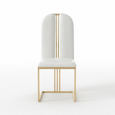 Roestvrijstalen eetkamerstoel Leren stoel Stoelen Roestvrijstalen Designer Goud