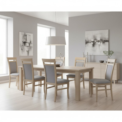 Garnituur Complete Groep Woonkamer 6x Stuks Grijs Eetkamerstoel Set Stoelen Nieuw