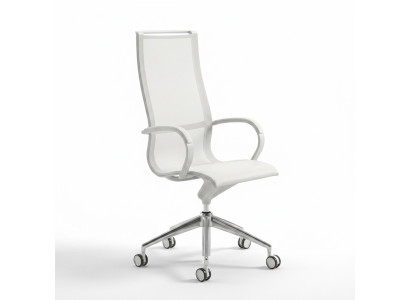 Bureaustoel Draaistoel Bureaustoel Stoel Directeursstoel Fauteuil