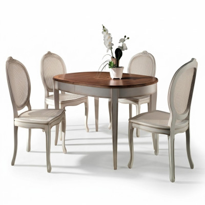 Eettafel inrichting stoelen fauteuil meubilair groep set compleet set 5-delig.