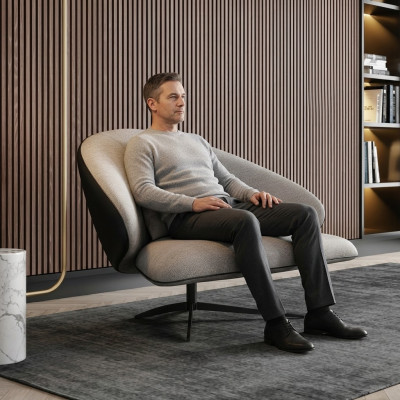 Fauteuils Luidsprekers Stoelen Loungestoel Clubfauteuil Cocktailfauteuil