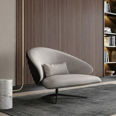 Fauteuils Luidsprekers Stoelen Loungestoel Clubfauteuil Cocktailfauteuil