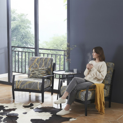 Fauteuil Ontwerp Bank Bank Zitter Luxe Kleurrijke Relax Lederen Lounge Club Bekleding