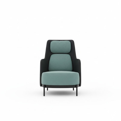 Fauteuil Clubfauteuil Loungestoel Cocktailfauteuil Fauteuil Bank Bankstellen TV Nieuw