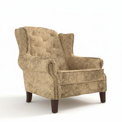 Ohrensessel Lounge TV Club Zitbank Zetel Stoel Design Bank Sofa