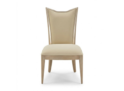 Stoel Fauteuil Bekleding Modern Stoel Designerstoel Eetkamer Fauteuil