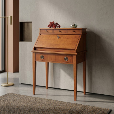 Art Deco Magic Secretaris Bureau tafel Huis kantoor Century bureau Secretaris kast