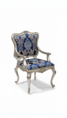 Fauteuil Stoelen Armleuning Gestoffeerde stoel Luxe stoel Eetkamer Gestreept