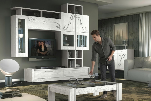 Woonkamer tv-wand wand wandwand woonkamer meubels rtv woonwanden kast rek