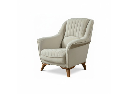 Fauteuil Zit Klassiek Ontwerp Woonkamer Bekleding Eenpersoons Ontspanning Wit