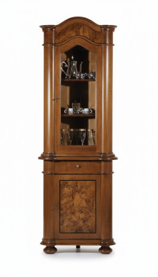 Woonkamermeubels Glaskast Vitrine Houten vitrines Glazen kast Kasten Planken
