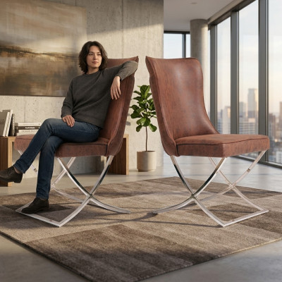 Eetkamerstoelset, fauteuil, gastronomisch design, 2 stoelen, groep bekleding.