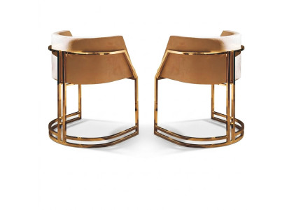 Luxe 2x stoel eetkamerstoel keukenstoelen woonkamerstoel gestoffeerde stoel leuning Nieuw