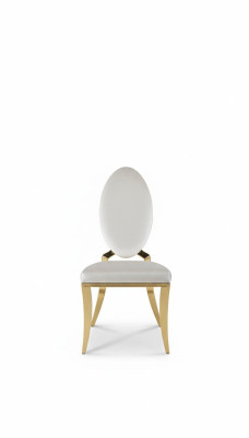 Eetkamerstoel wit Luxe metaal met textielstoelen Moderne stijl Fauteuil