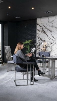 Eetkamerstoel Luxe Metaal met Textiel Stoelen Stijl Modern Armstoel