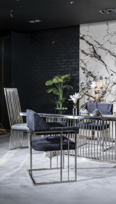 Eetkamerstoel Luxe Metaal met Textiel Stoelen Stijl Modern Armstoel