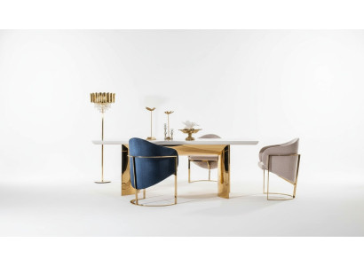 Eetkamerstoel Luxe stoel Metaal met textiel Nieuwe stoelen Stijl Modern