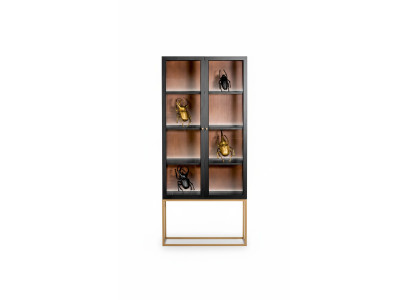 Vitrine kasten Vitrine kast Hout Glas Meubels Ontwerp Woonkamer Glazen kast