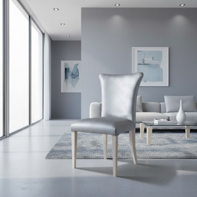 Eetkamerstoel Stoel Zitter Fauteuil Eetkamerstoelen Hout Zilver Modern Luxe Nieuw