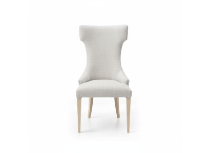Eetkamerstoel Stoel Fauteuil Armstoel Eetkamerstoelen Hout Modern Luxe Grijs
