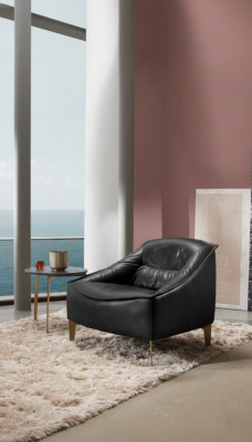 Fauteuil Bekleding Zitter Modern Ontwerp Leer Relax Fauteuil Lounge Luxe Woonkamer