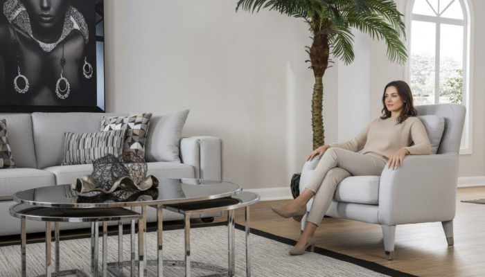 Fauteuil Zitontwerp Woonkamer Bekleding Hout Bekleding Modern Luxe Grijs Nieuw