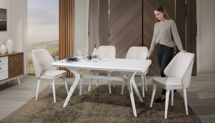Esgruppen Set Luxus Wit 4x Stoelen RVS Meubels Houten Meubels