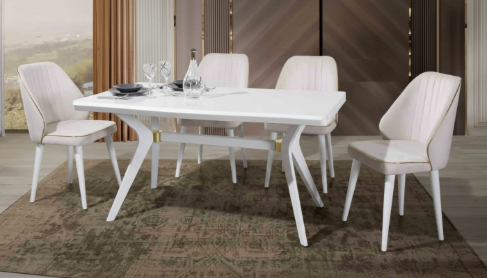 Esgruppen Set Luxus Wit 4x Stoelen RVS Meubels Houten Meubels
