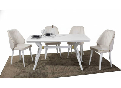 Esgruppen Set Luxus Wit 4x Stoelen RVS Meubels Houten Meubels