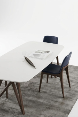 Eetkamer set Eettafel Moderne stoelen Eetset Luxe eetgroep 5-delig set