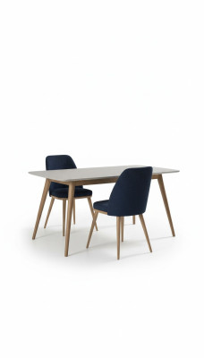 Blauwe eetkamerstoel Luxe Moderne keukenmeubels Designer houten meubels