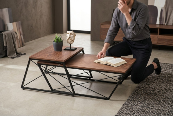 Salontafels Koffietafels Bijzettafel Designer tafel Woonkamertafels