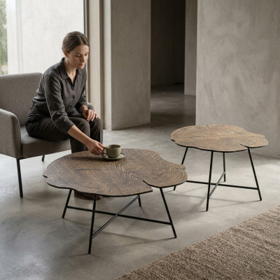 Set van twee luxe salontafels voor de woonkamer in moderne stijl