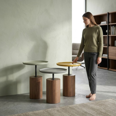 Ontwerp salontafels koffietafels Ronde tafel Houten tafels Woonkamer Nieuw