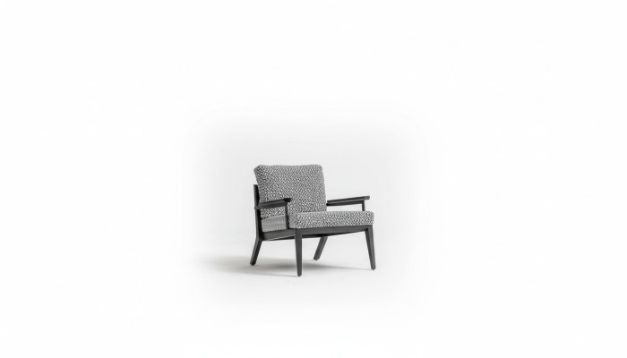 Fauteuil Zitplaats Woonkamer Modern Ontwerp Luxe Zitmeubelen Ontspanning Club