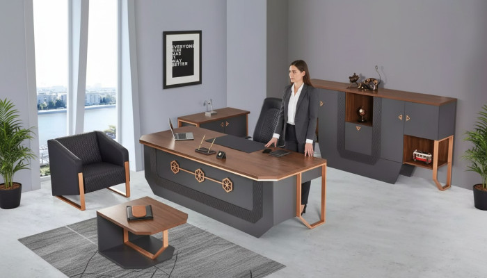 Kantoor meubel set Luxe thuiskantoormeubilair Bureau Kasten Salontafel
