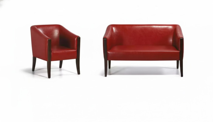 Rode bankstel Tweezits Moderne fauteuil Designer bekleding Luxe set.