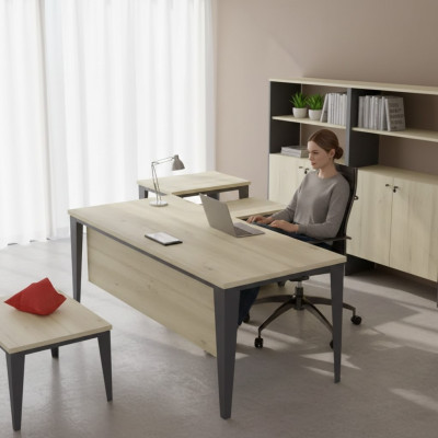 Ontwerper Bruine Schrijftafel Kantoor meubels Houten tafels Luxe meubels Nieuw