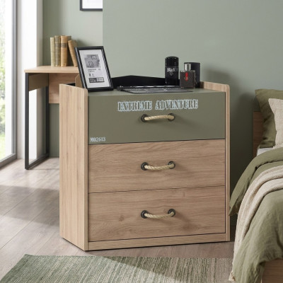 Ladenkast Kast Hout Ladenkasten Kindermeubelen Dressoir Ontwerp Groen Luxe