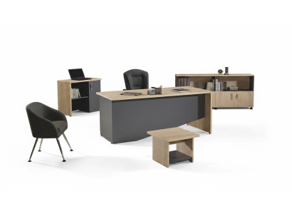 Tafel Kantoor meubels Werkkamer meubels Bureau set 4-delig Hout Grijs