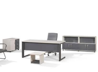 Computermöbel Werktafel Kantoorinrichting Bureau 4-delig Hout Set Grijs