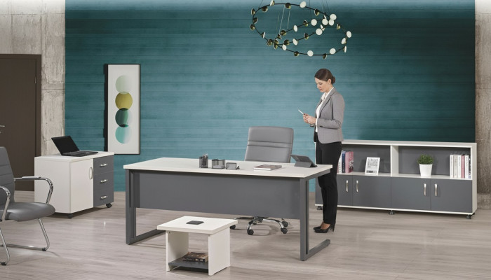 Kantoormeubel Grijs Set 4-delig Bureau Compleet kantoor Kast Hout Groep