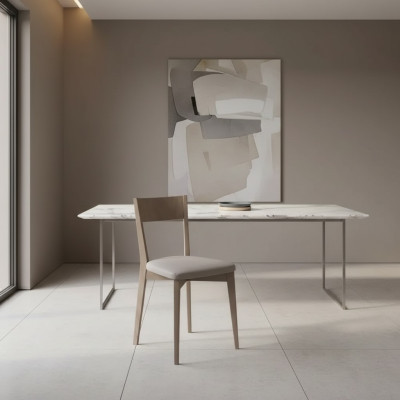 Stoel eetkamerstoelen keukenstoel stijlvol nieuw stoel grijs