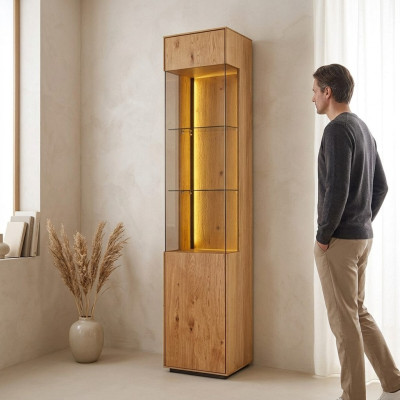 Woonkamer vitrine dressoir hout kasten meubelen dressoir glas kast
