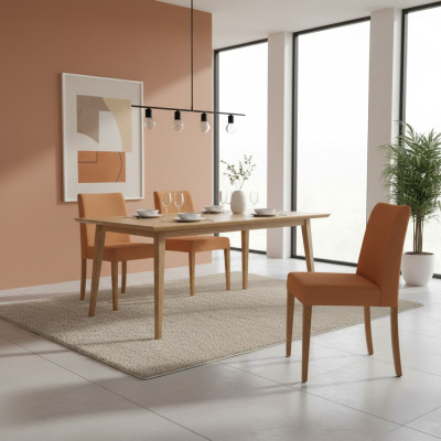 Luxe inrichting Moderne Stoel Bruin Nieuw Houten Stoel Ontwerp Eetkamer