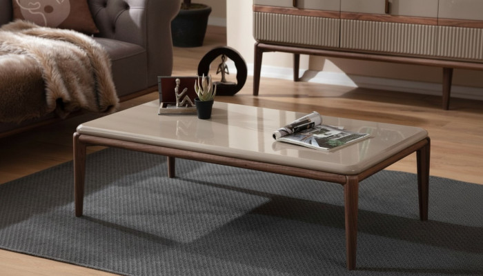 Bruine houten salontafel Woonkamer Designmeubelen Luxe Stijlvolle tafels