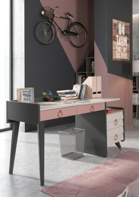 Sekretariatsbureaudesign Luxe schrijfmeubels Houten bureaus