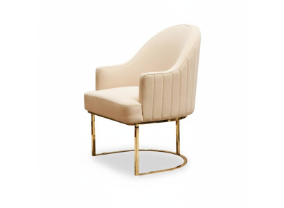 Eetkamerstoelen Woonkamer luxe Beige Stoel met Metaal Modern nieuw