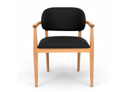 Zwarte fauteuil Designer eetkamerstoel Luxe eenzitter Houten meubels